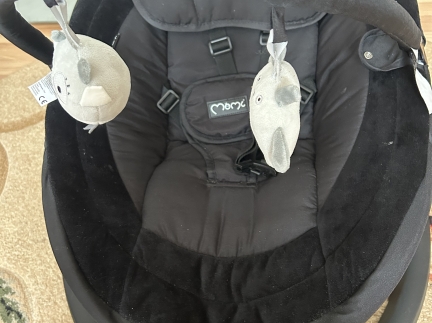 Заколисувальний центр