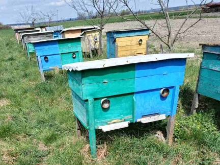 Вулики-лежаки дерев'яні, на 1 та 2 сім’ї