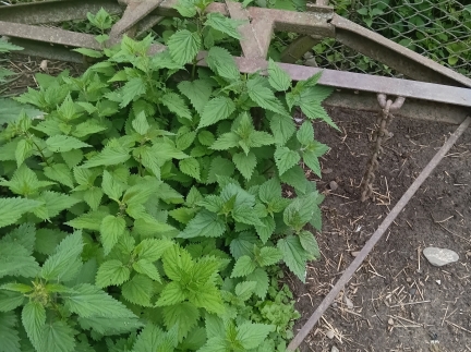 Рама на борони,культиватор