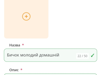 Бичок молодий домашній