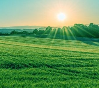 Земельна ділянка, с.Довпотів Калуський р-н