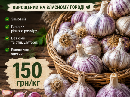 ДОМАШНІЙ ЗИМОВИЙ ЧАСНИК