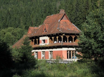 Земельна ділянка з будинком, Старий Мізунь