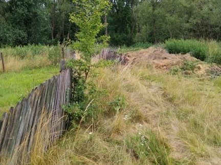 Будинок, село Шевченко