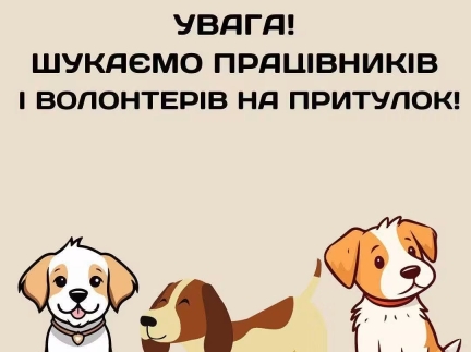 Працівники в притулок для собак «Дім Сірка»