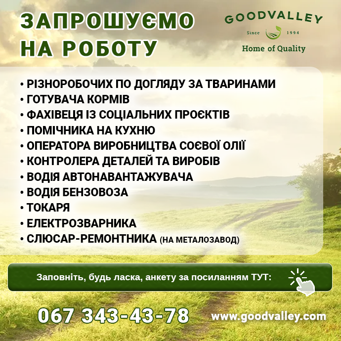 робота Гудвеллі