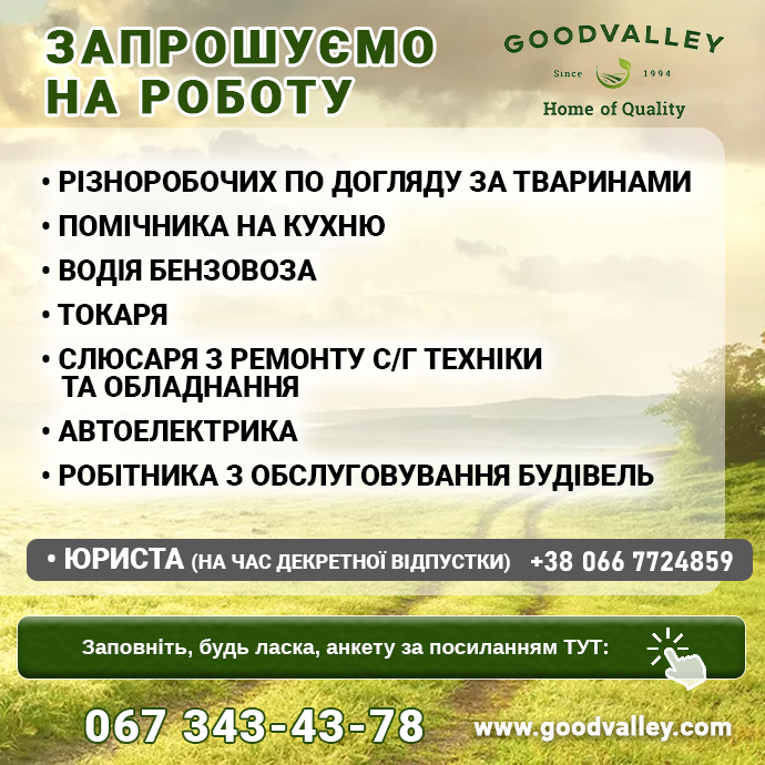 робота Гудвеллі