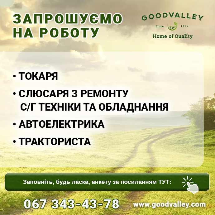 робота Гудвеллі