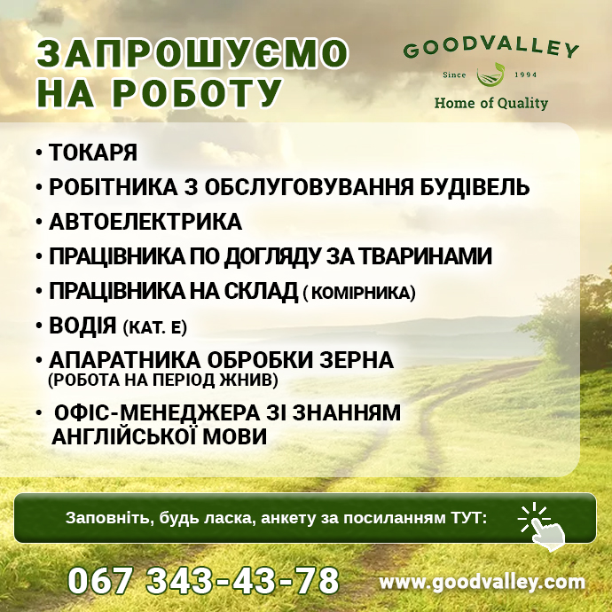 робота Гудвеллі