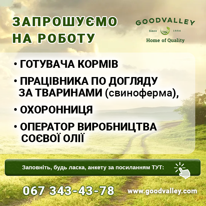 робота Гудвеллі