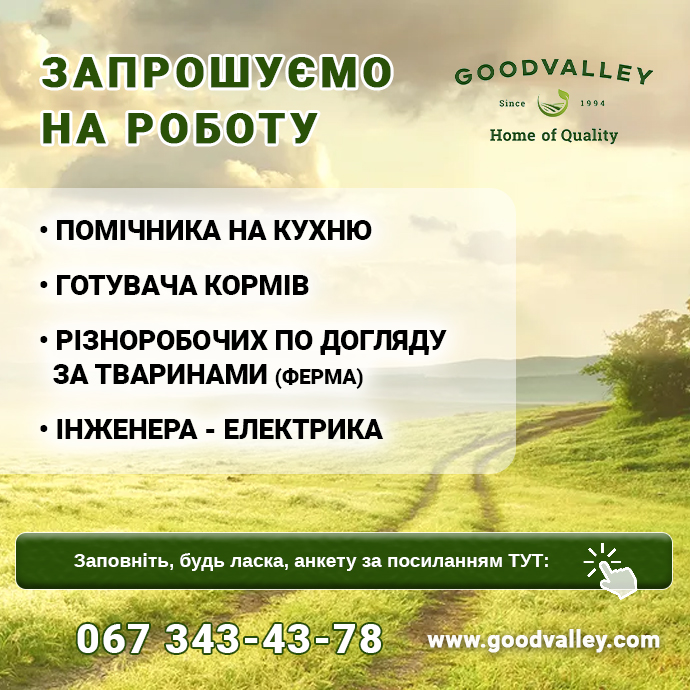 робота Гудвеллі