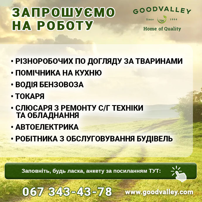 робота Гудвеллі