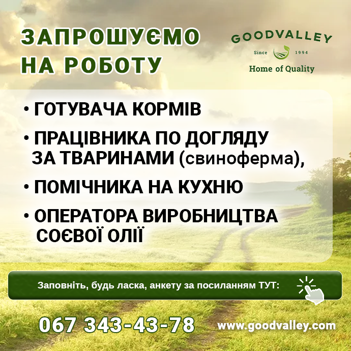 робота Гудвеллі