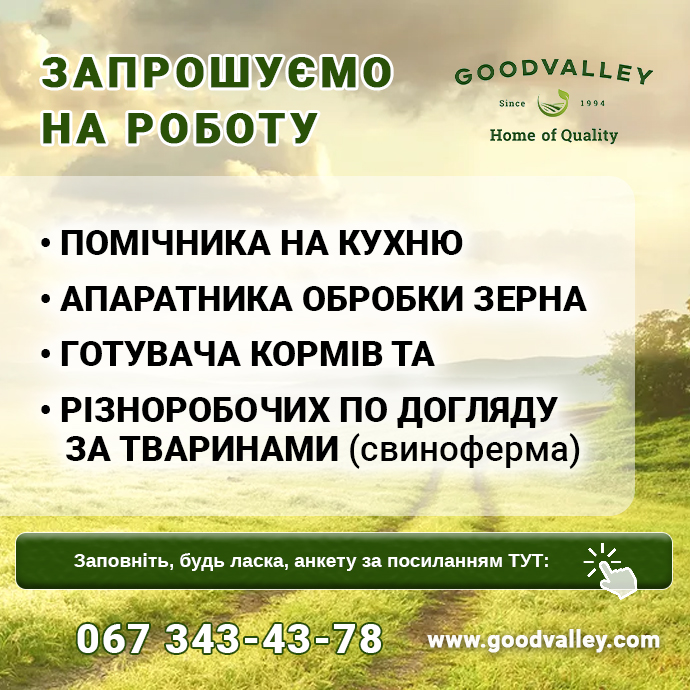 робота Гудвеллі