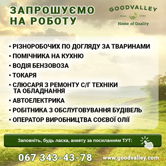 робота Гудвеллі