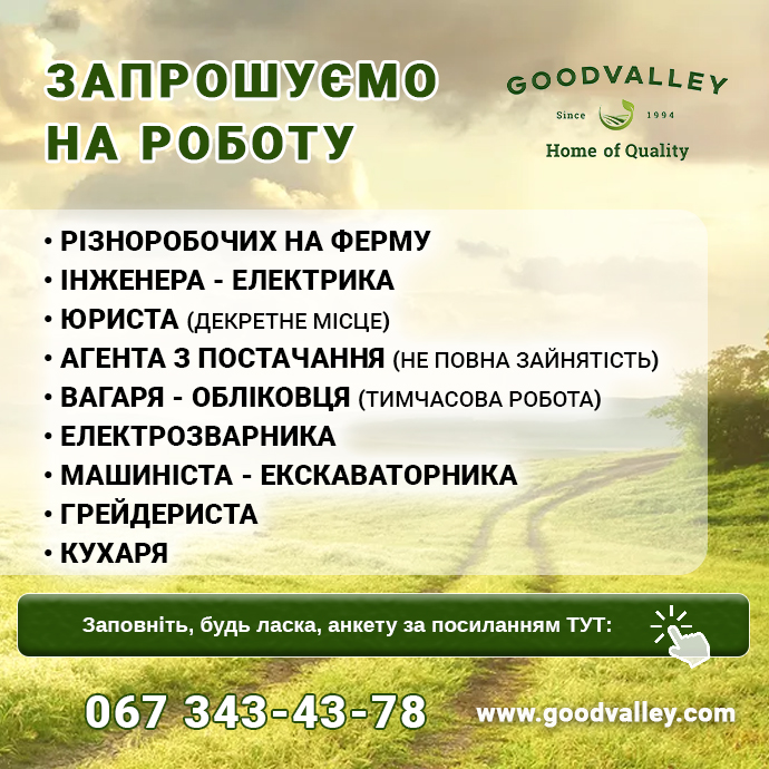 робота Гудвеллі