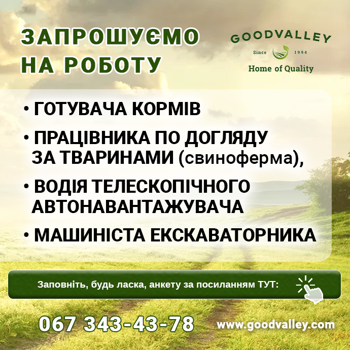 робота Гудвеллі