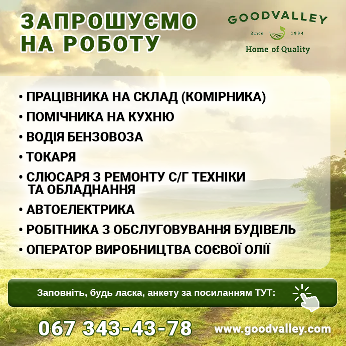 робота Гудвеллі