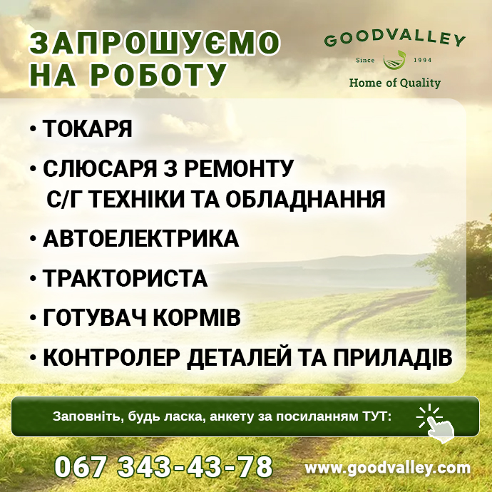 робота Гудвеллі