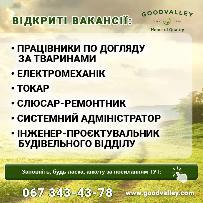 робота Гудвеллі