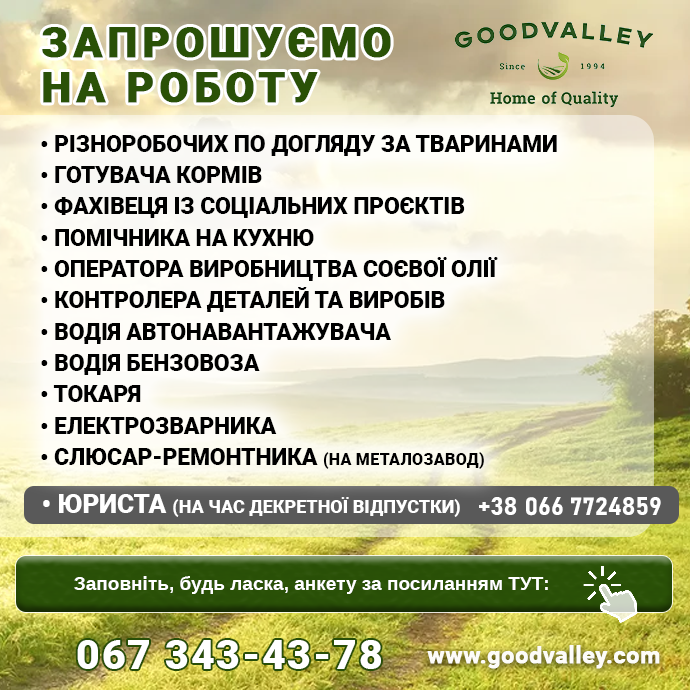 робота Гудвеллі