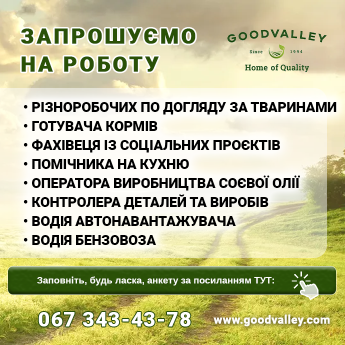 робота Гудвеллі