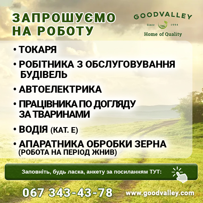 робота Гудвеллі